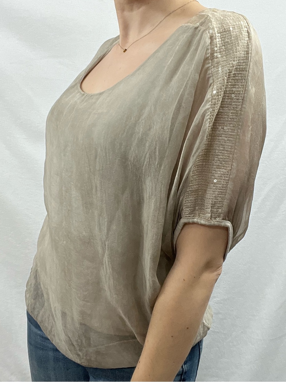 Sheer Taupe Scoop Neck Blouse with Sequin-Trim Sleeve
